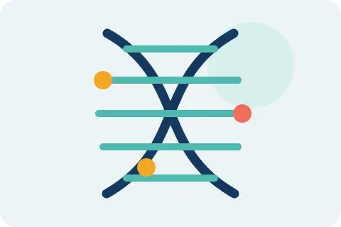 DNA 單一字母變化與影響分數的示意